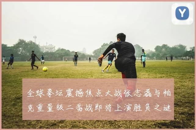 全球拳坛震撼焦点大战张志磊与帕克重量级二番战即将上演胜负之谜谁将笑到最后全面深度剖析与终极预测