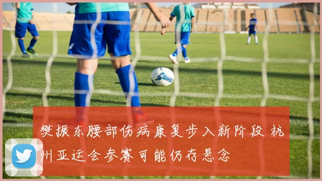 樊振东腰部伤病康复步入新阶段 杭州亚运会参赛可能仍存悬念