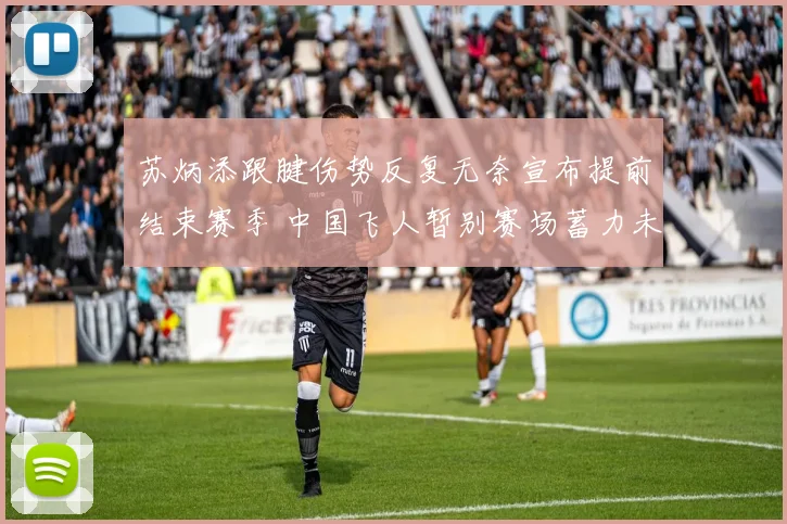 苏炳添跟腱伤势反复无奈宣布提前结束赛季 中国飞人暂别赛场蓄力未来