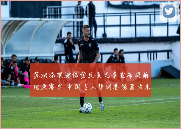 苏炳添跟腱伤势反复无奈宣布提前结束赛季 中国飞人暂别赛场蓄力未来